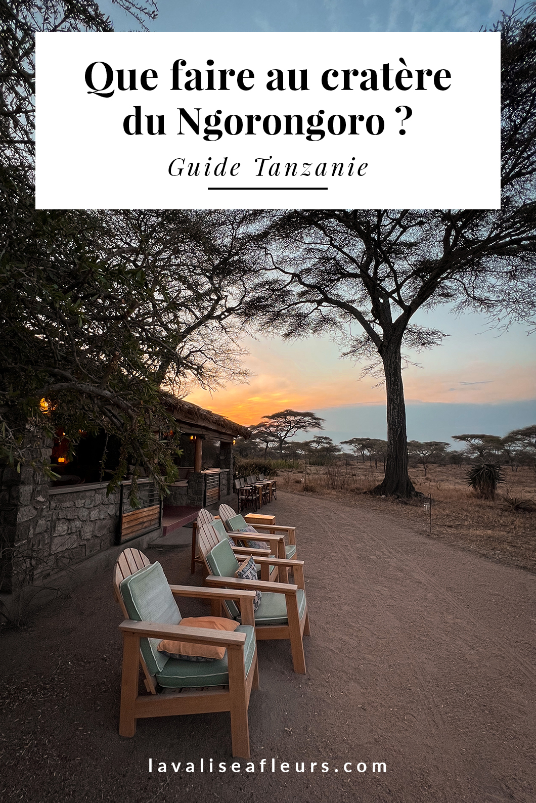 Que faire au cratèredu Ngorongoro ? Guide Tanzanie